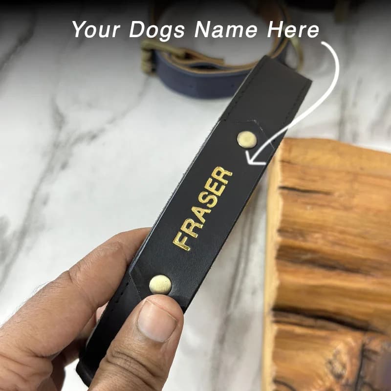 Dog Collar With Name Tag thumbnail 10