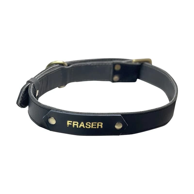 Dog Collar With Name Tag thumbnail 2