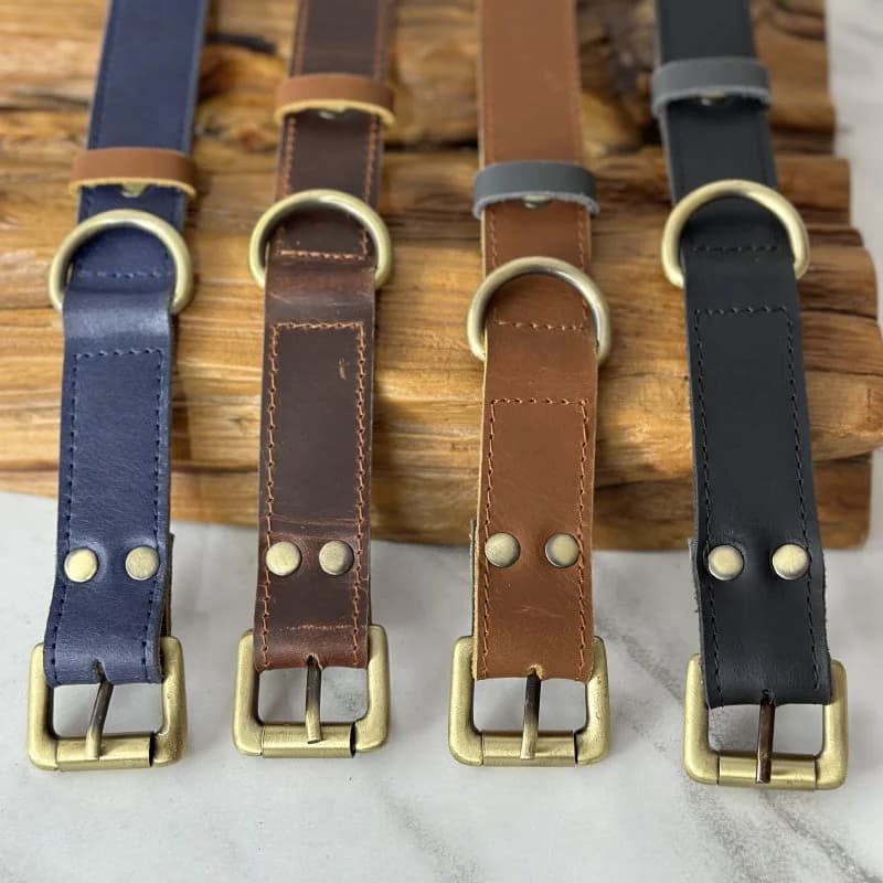 Dog Collar With Name Tag thumbnail 3