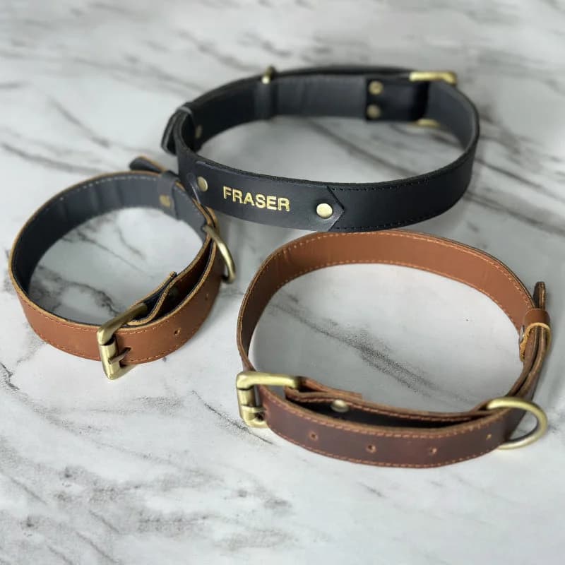 Dog Collar With Name Tag thumbnail 4