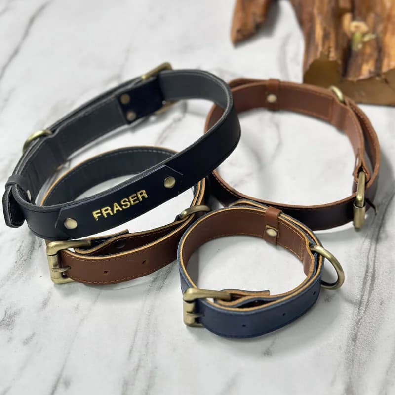 Dog Collar With Name Tag thumbnail 6