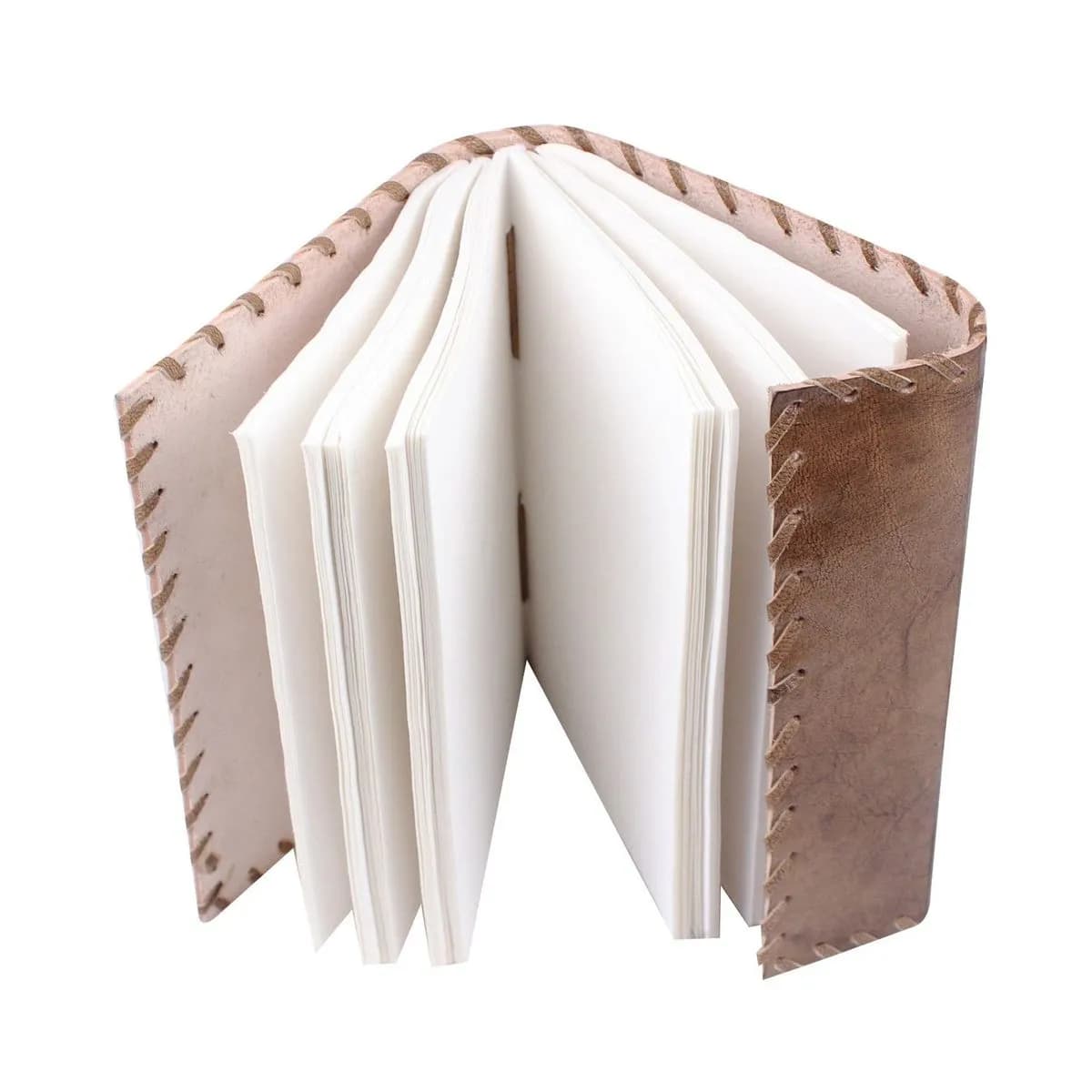 Seedling Leather Notebook thumbnail 3