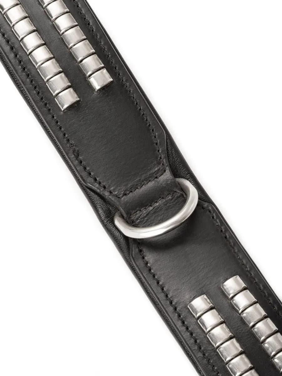 Leather Collar With Designer Studs thumbnail 5