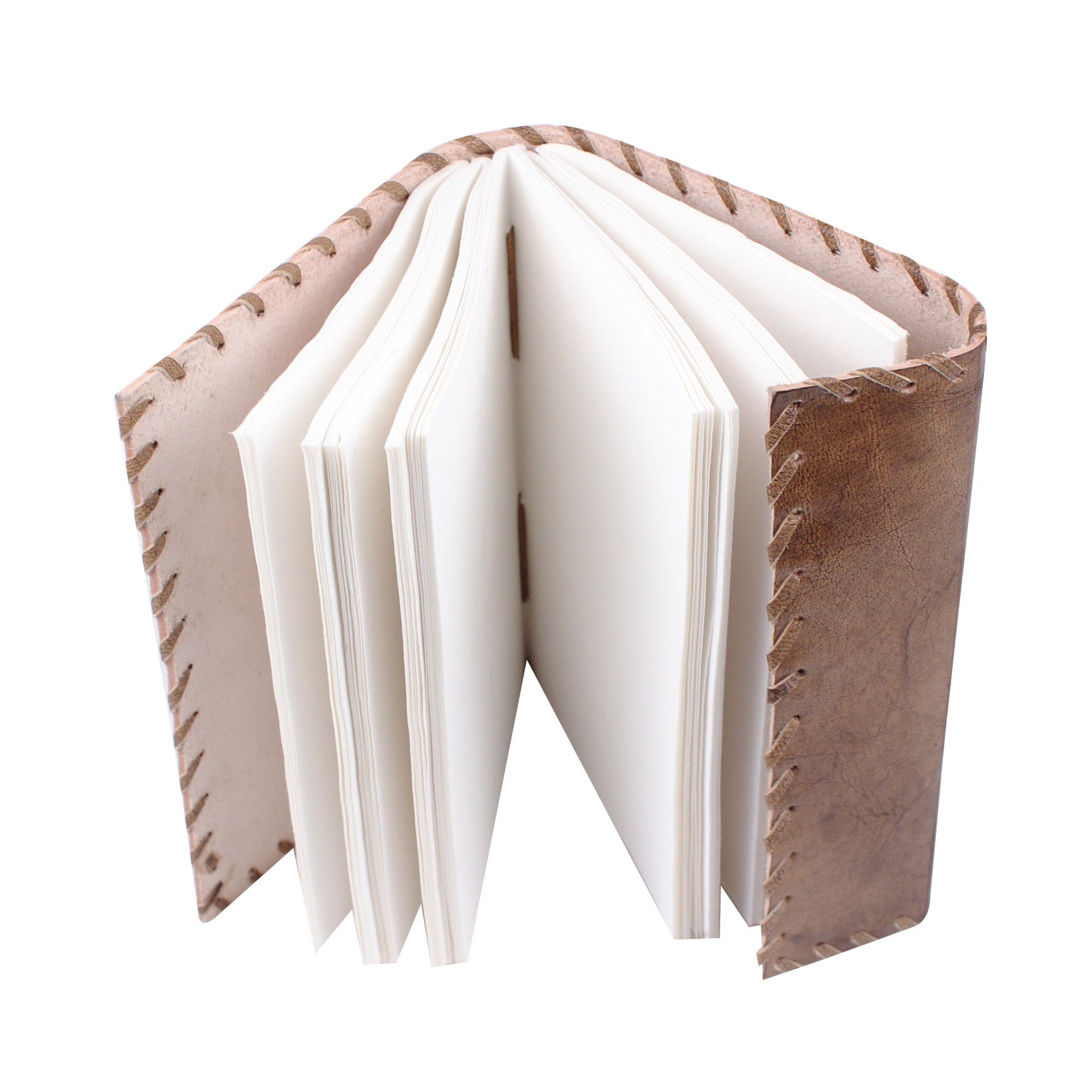 Seedling Leather Notebook thumbnail 3