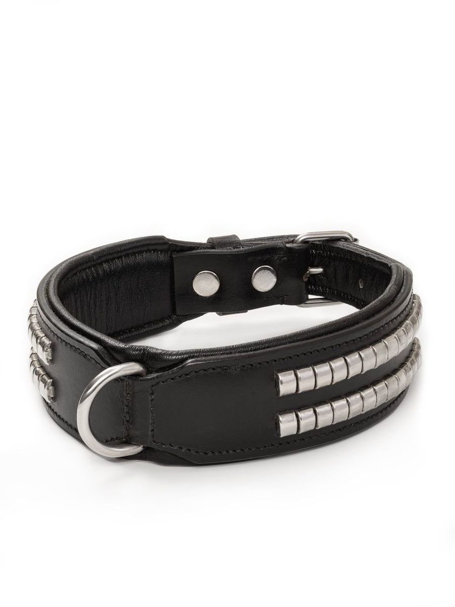 Leather Collar With Designer Studs