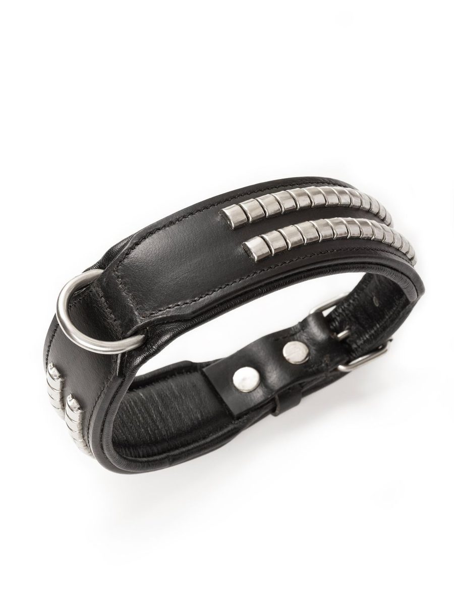Leather Collar With Designer Studs thumbnail 7