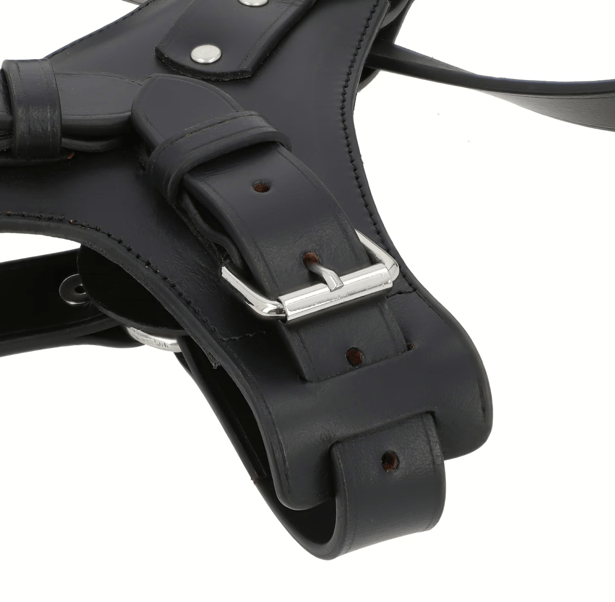 Premium Black Leather Dog Chest Harness thumbnail 2