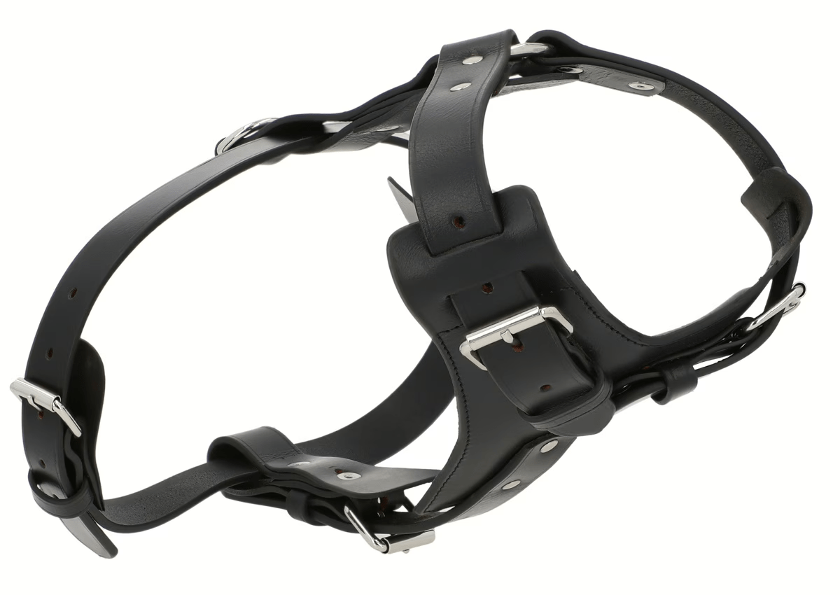 Premium Black Leather Dog Chest Harness thumbnail 3