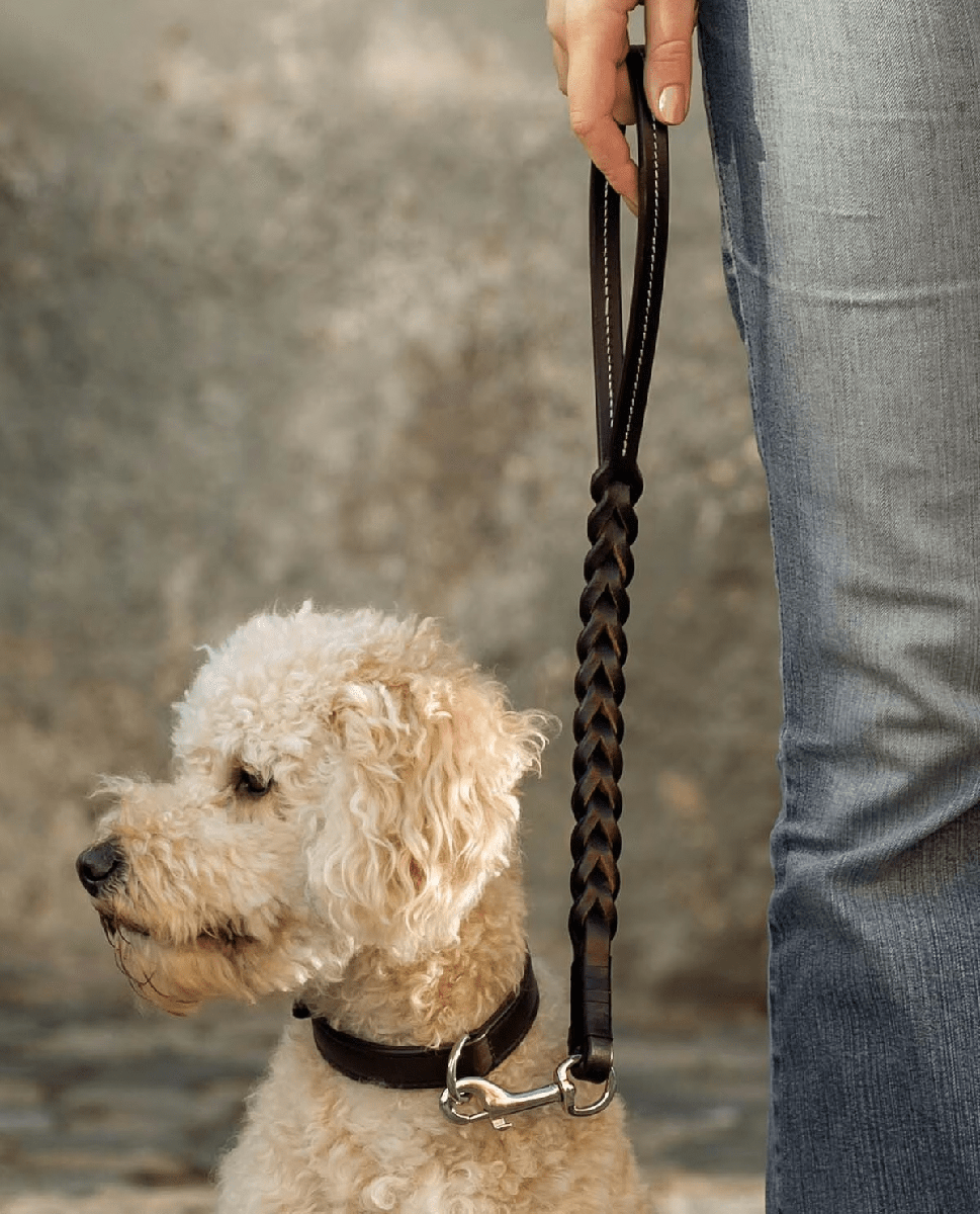 Premium Leather Traffic Dog Leash - Short Control Lead