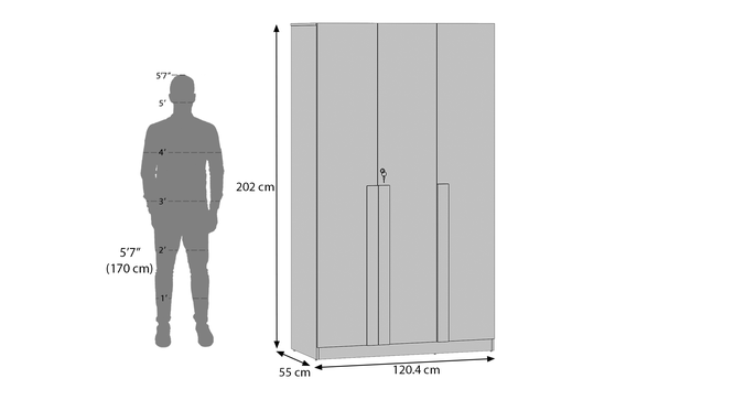 Rodrigues 3-Door Engineered Wood Wardrobe in Sheesham Finish thumbnail 7
