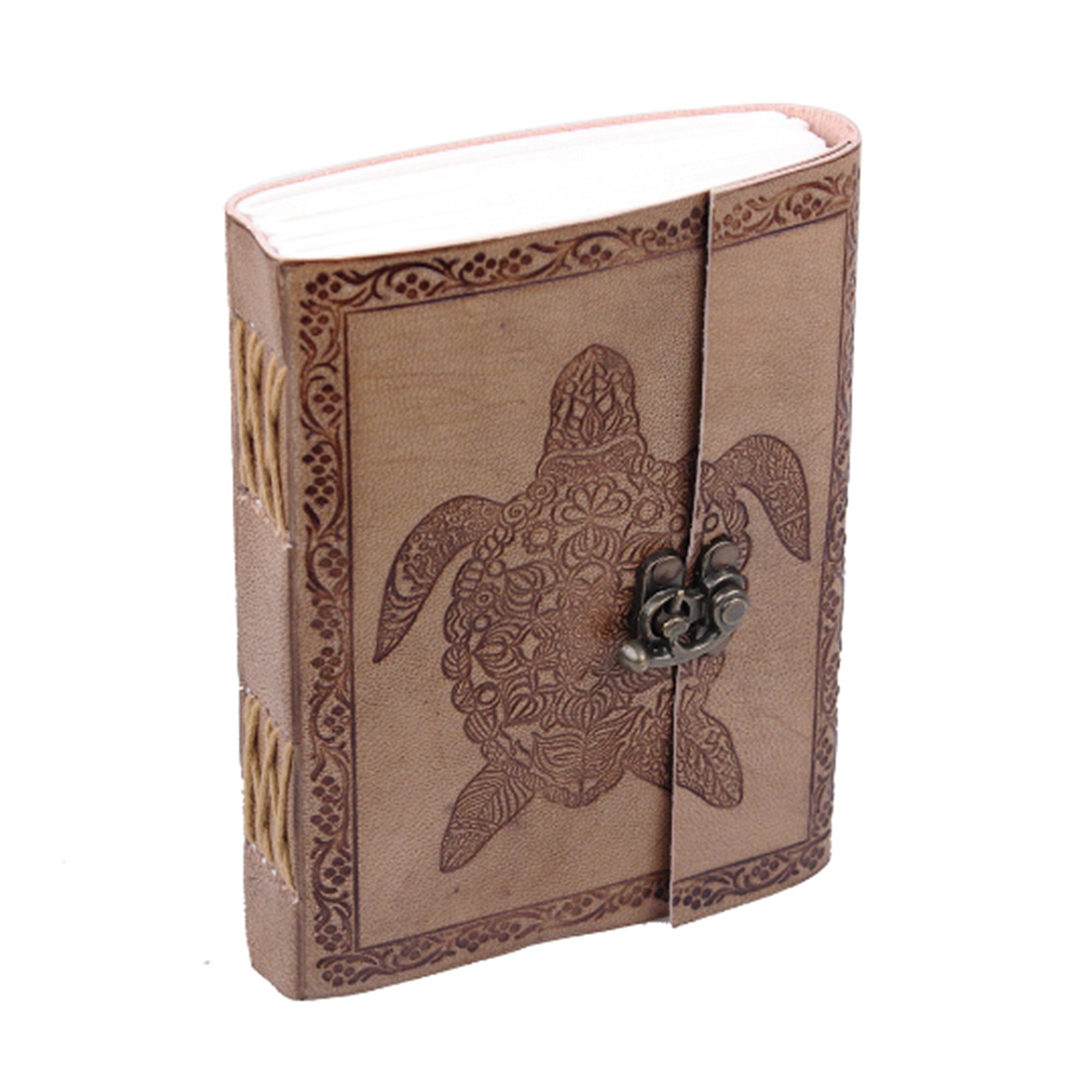 The Turtle Notebook thumbnail 3